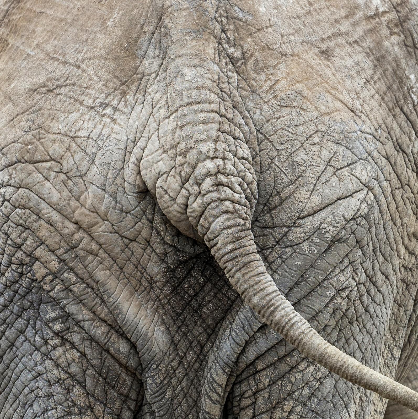 About Get Touch Image