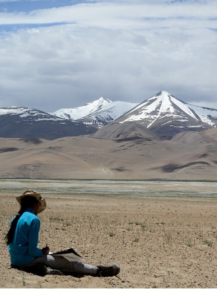 Scenic Image
