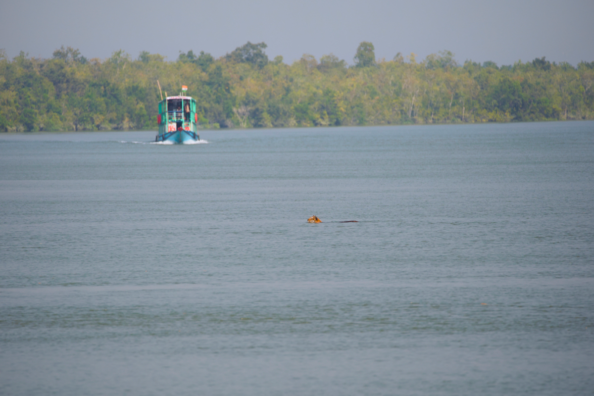 Why The Sundarbans Is So Special to Me